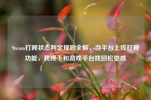 Steam打盹状态判定规则全解，当平台上线打盹功能，我终于和游戏平台找回松弛感