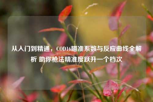 从入门到精通,COD16瞄准系数与反应曲线全解析 助你枪法精准度跃升一个档次