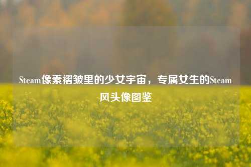 Steam像素褶皱里的少女宇宙,专属女生的Steam风头像图鉴