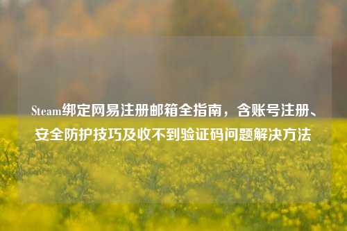 Steam绑定网易注册邮箱全指南,含账号注册、安全防护技巧及收不到验证码问题解决方法