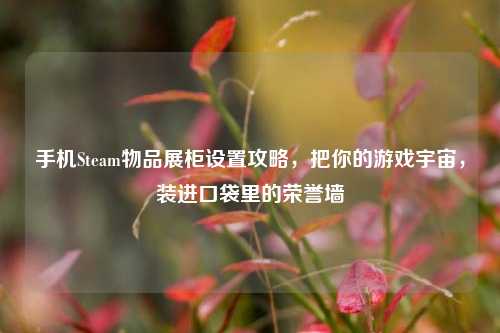 手机Steam物品展柜设置攻略，把你的游戏宇宙，装进口袋里的荣誉墙