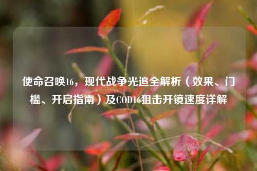 使命召唤16,现代战争光追全解析(效果、门槛、开启指南)及COD16狙击开镜速度详解
