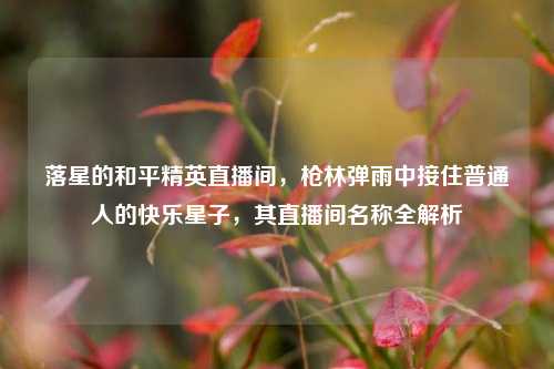 落星的和平精英直播间，枪林弹雨中接住普通人的快乐星子，其直播间名称全解析