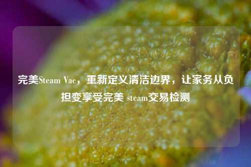完美Steam Vac,重新定义清洁边界,让家务从负担变享受完美 steam交易检测