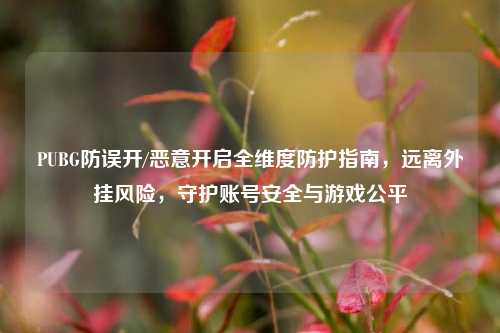 PUBG防误开/恶意开启全维度防护指南,远离外挂风险,守护账号安全与游戏公平