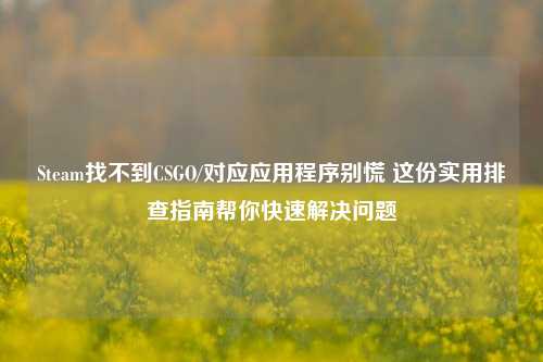Steam找不到CSGO/对应应用程序别慌 这份实用排查指南帮你快速解决问题