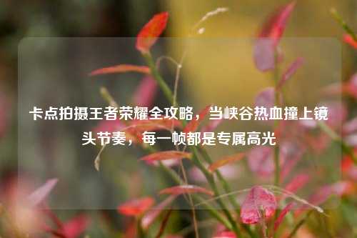 卡点拍摄王者荣耀全攻略,当峡谷热血撞上镜头节奏,每一帧都是专属高光