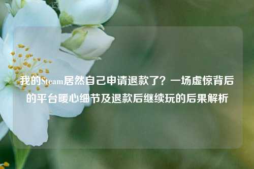 我的Steam居然自己申请退款了？一场虚惊背后的平台暖心细节及退款后继续玩的后果解析