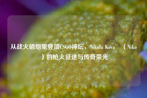 从战火硝烟里登顶CSGO神坛，Nikola Kovač（Niko）的枪火征途与传奇荣光