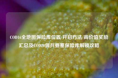 COD16全地图保险库位置/开启方法/高价值奖励汇总及COD20佣兵要塞保险库解锁攻略