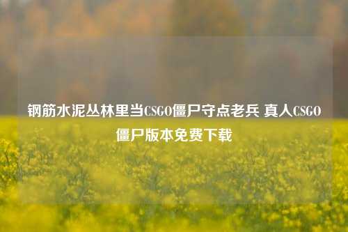 钢筋水泥丛林里当CSGO僵尸守点老兵 真人CSGO僵尸版本免费下载