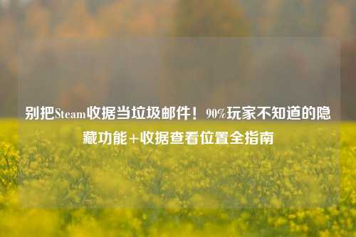 别把Steam收据当垃圾邮件!90%玩家不知道的隐藏功能+收据查看位置全指南