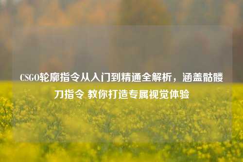 CSGO轮廓指令从入门到精通全解析,涵盖骷髅刀指令 教你打造专属视觉体验