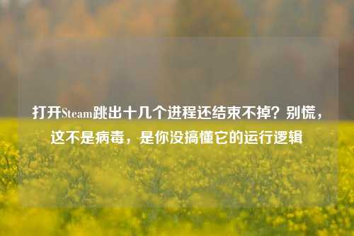 打开Steam跳出十几个进程还结束不掉?别慌,这不是病毒,是你没搞懂它的运行逻辑