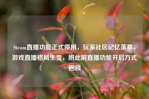 Steam直播功能正式停用,玩家社区记忆落幕、游戏直播格局生变,附此前直播功能开启方式回顾