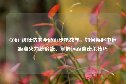 COD16被低估的全能M4步枪教学，如何架起中远距离火力统治线、掌握远距离击杀技巧