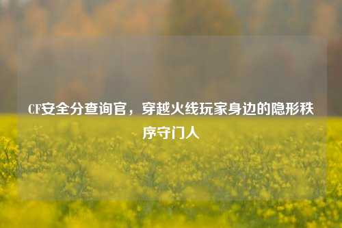 CF安全分查询官，穿越火线玩家身边的隐形秩序守门人