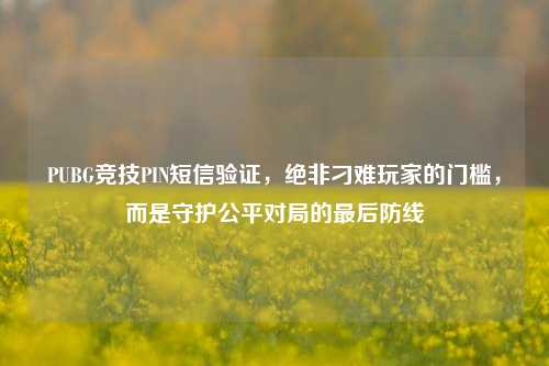 PUBG竞技PIN短信验证,绝非刁难玩家的门槛,而是守护公平对局的最后防线