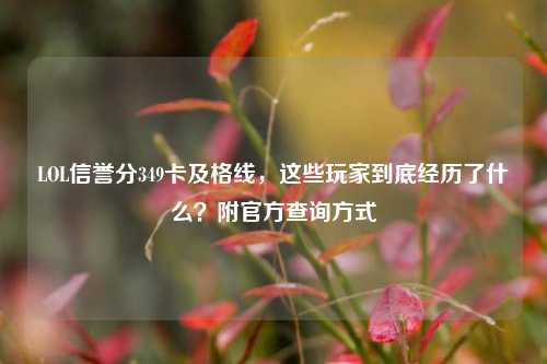 LOL信誉分349卡及格线,这些玩家到底经历了什么?附官方查询方式