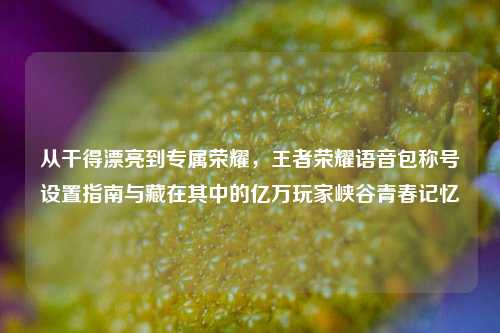 从干得漂亮到专属荣耀，王者荣耀语音包称号设置指南与藏在其中的亿万玩家峡谷青春记忆