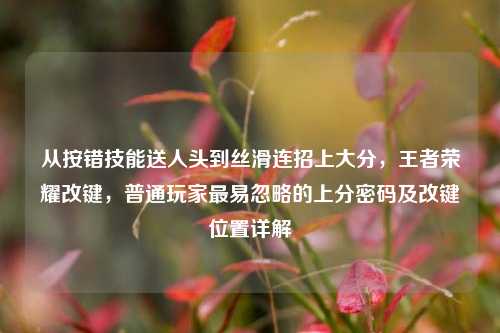从按错技能送人头到丝滑连招上大分，王者荣耀改键，普通玩家最易忽略的上分密码及改键位置详解