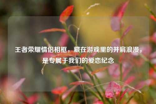 王者荣耀情侣相框，藏在游戏里的并肩浪漫，是专属于我们的爱恋纪念