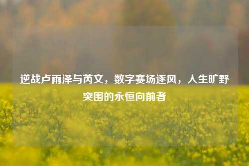 逆战卢雨泽与芮文,数字赛场逐风,人生旷野突围的永恒向前者
