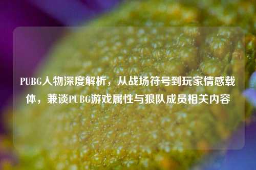 PUBG人物深度解析,从战场符号到玩家情感载体,兼谈PUBG游戏属性与狼队成员相关内容