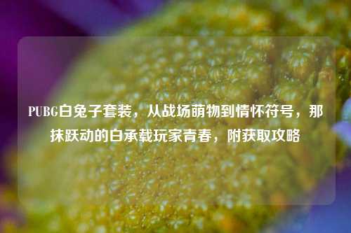 PUBG白兔子套装,从战场萌物到情怀符号,那抹跃动的白承载玩家青春,附获取攻略
