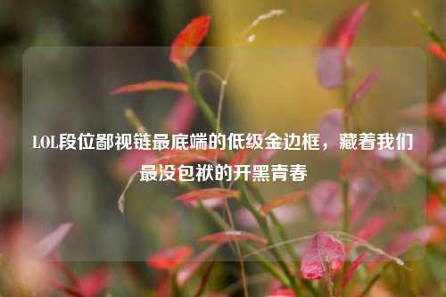 LOL段位鄙视链最底端的低级金边框，藏着我们最没包袱的开黑青春