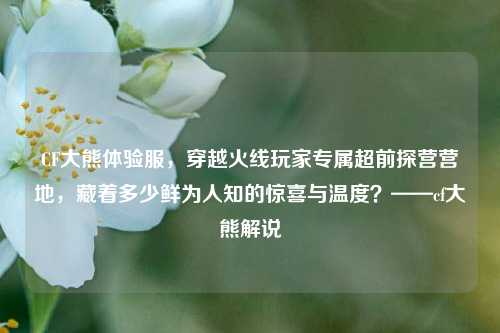 CF大熊体验服,穿越火线玩家专属超前探营营地,藏着多少鲜为人知的惊喜与温度?——cf大熊解说