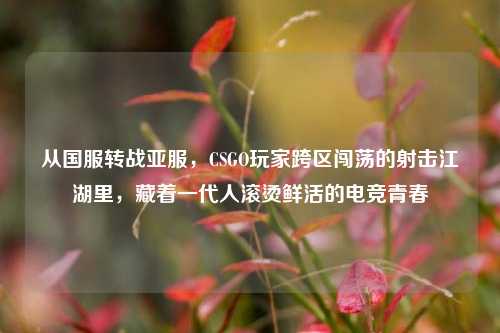 从国服转战亚服,CSGO玩家跨区闯荡的射击江湖里,藏着一代人滚烫鲜活的电竞青春