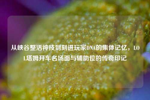 从峡谷整活神技到刻进玩家DNA的集体记忆，LOL塔姆开车名场面与辅助位的传奇印记