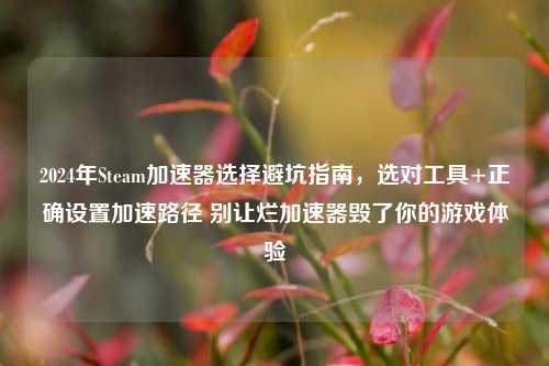 2024年Steam加速器选择避坑指南，选对工具+正确设置加速路径 别让烂加速器毁了你的游戏体验
