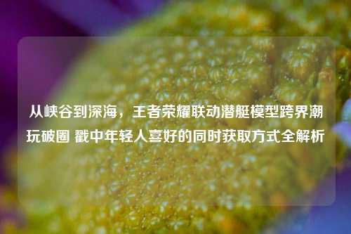 从峡谷到深海，王者荣耀联动潜艇模型跨界潮玩破圈 戳中年轻人喜好的同时获取方式全解析