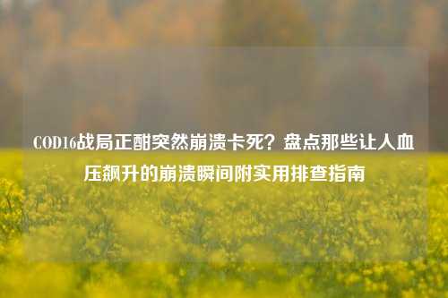 COD16战局正酣突然崩溃卡死？盘点那些让人血压飙升的崩溃瞬间附实用排查指南