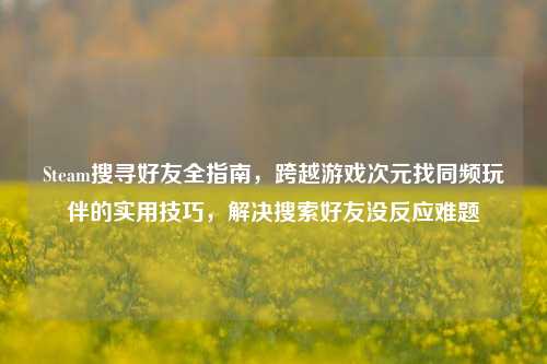 Steam搜寻好友全指南,跨越游戏次元找同频玩伴的实用技巧,解决搜索好友没反应难题