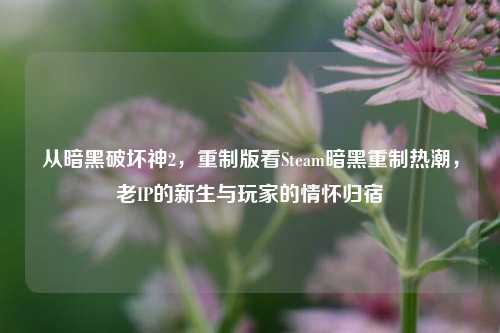 从暗黑破坏神2,重制版看Steam暗黑重制热潮,老IP的新生与玩家的情怀归宿