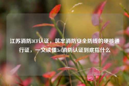 江苏消防3CF认证，筑牢消防安全防线的硬核通行证，一文读懂3cf消防认证到底指什么