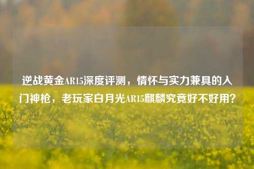 逆战黄金AR15深度评测，情怀与实力兼具的入门神枪，老玩家白月光AR15麒麟究竟好不好用？