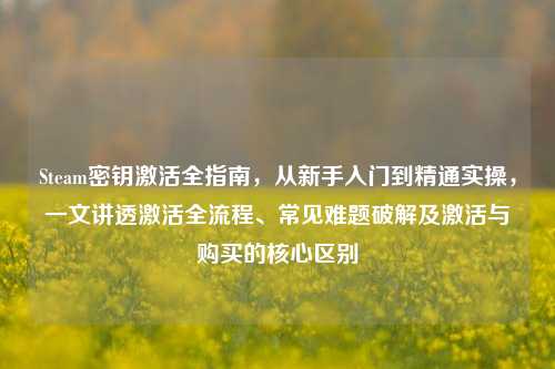 Steam密钥激活全指南，从新手入门到精通实操，一文讲透激活全流程、常见难题破解及激活与购买的核心区别