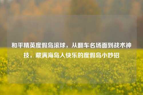和平精英度假岛滚球，从翻车名场面到战术神技，藏满海岛人快乐的度假岛小妙招