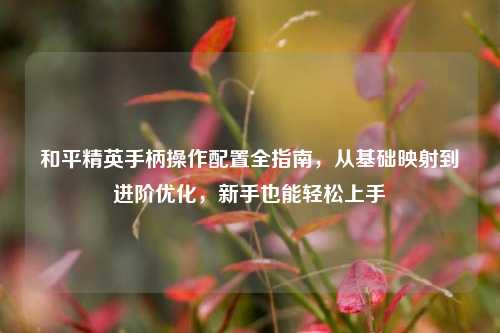 和平精英手柄操作配置全指南，从基础映射到进阶优化，新手也能轻松上手