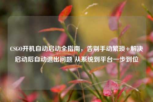 CSGO开机自动启动全指南,告别手动繁琐+解决启动后自动退出问题 从系统到平台一步到位