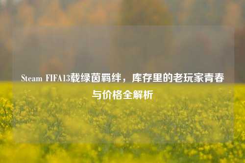 Steam FIFA13载绿茵羁绊，库存里的老玩家青春与价格全解析