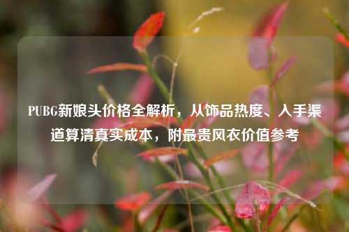 PUBG新娘头价格全解析,从饰品热度、入手渠道算清真实成本,附最贵风衣价值参考