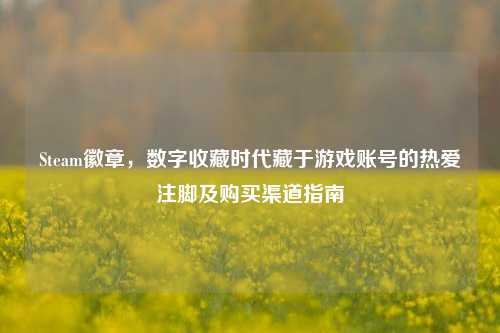 Steam徽章,数字收藏时代藏于游戏账号的热爱注脚及购买渠道指南