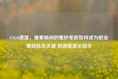 CSGO速度，像素帧间的毫秒差距如何成为职业赛场胜负关键 附速度显示指令