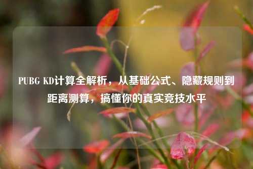 PUBG KD计算全解析，从基础公式、隐藏规则到距离测算，搞懂你的真实竞技水平