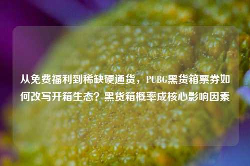 从免费福利到稀缺硬通货,PUBG黑货箱票券如何改写开箱生态?黑货箱概率成核心影响因素